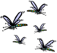 5dragonflies