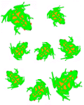 8frogs