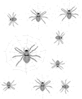 9spiders