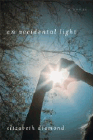 Amazon.com order for
Accidental Light
by Elizabeth Diamond