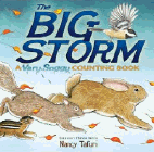 Amazon.com order for
Big Storm
by Nancy Tafuri