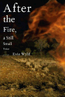 Amazon.com order for
After the Fire, a Still, Small Voice
by Evie Wyld
