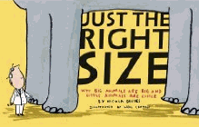 Amazon.com order for
Just the Right Size
by Nicola Davies