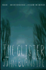 Bookcover of
Glister
by John Burnside