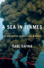 Bookcover of
Sea In Flames
by Carl Safina