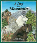 Amazon.com order for
Day on the Mountain
by Kevin Kurtz