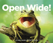 Amazon.com order for
Open Wide!
by Catherine Ham