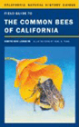 Bookcover of
Common Bees of California
by Gretchen LeBuhn