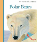 Amazon.com order for
Polar Bear
by Pierre de Hugo