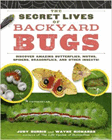 Amazon.com order for
Secret Lives of Backyard Bugs
by Judy Burris