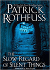 Amazon.com order for
Slow Regard of Silent Things
by Patrick Rothfuss
