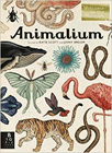 Amazon.com order for
Animalium
by Jenny Broom