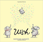 Amazon.com order for
Wish
by Matthew Cordell