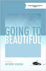 Amazon.com order for
Going to Beautiful
by Anthony Bidulka