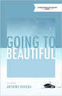 Amazon.com order for
Going to Beautiful
by Anthony Bidulka