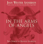 Amazon.com order for
In the Arms of Angels
by Joan Wester Anderson