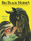 Amazon.com order for
Big Black Horse
by Walter Farley