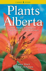 Bookcover of
Plants of Alberta
by France Royer