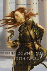 Amazon.com order for
Bring Down the Sun
by Judith Tarr